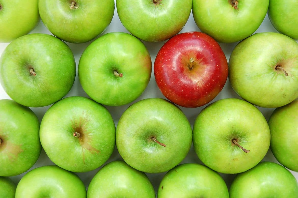 Green apples sit in clean, even rows with one red apple standing out.