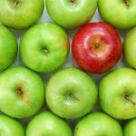 Green apples sit in clean, even rows with one red apple standing out.
